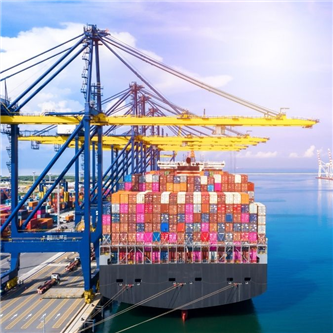 Sea Freight Import and Export 